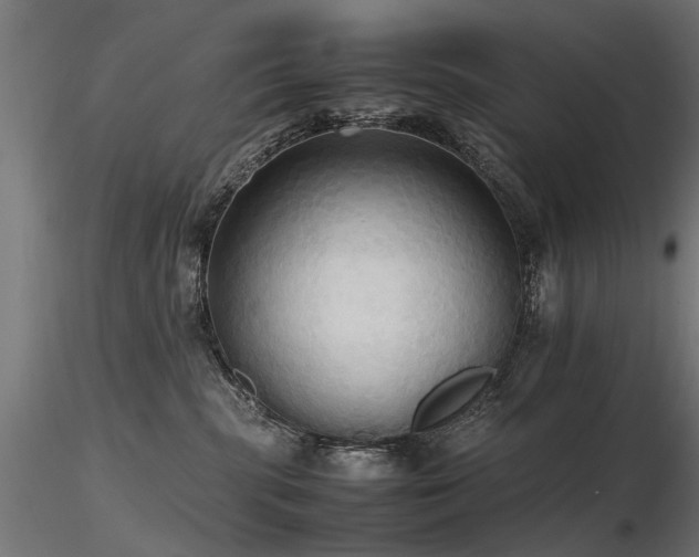 X0000116580283200912101547