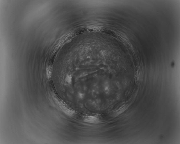 X0000116580285200912101547