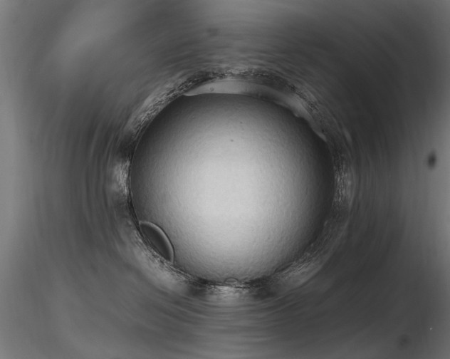 X0000116580286200912101547