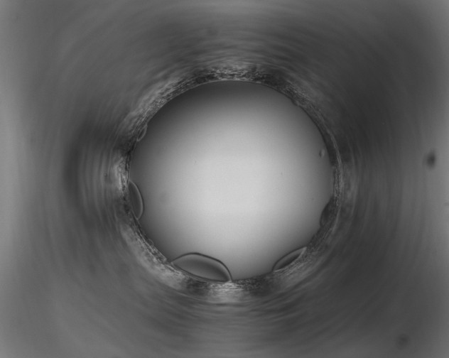 X0000116580287200912101547