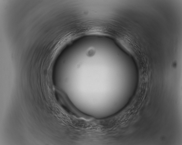 X0000116580289200912101546