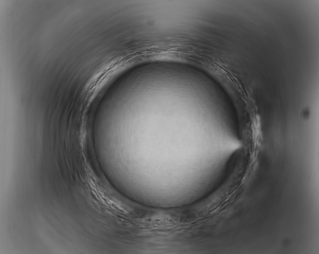 X0000116580290200912101546