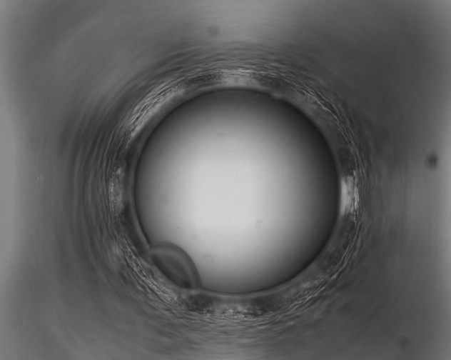 X0000116580291200912101546