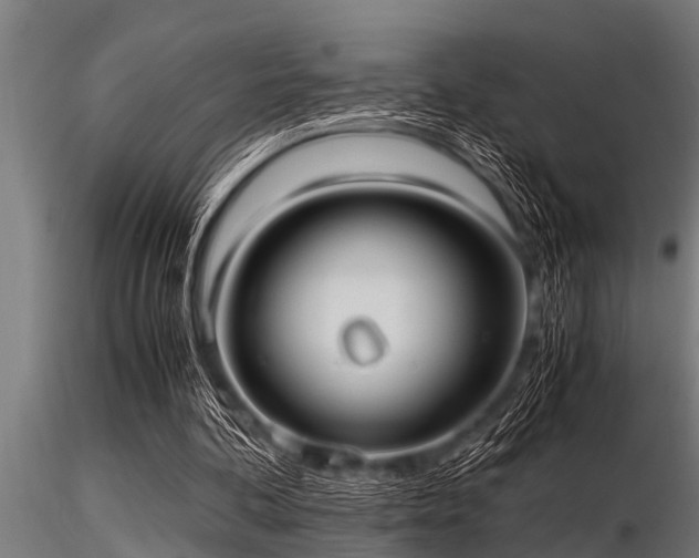 X0000116580292200912101546