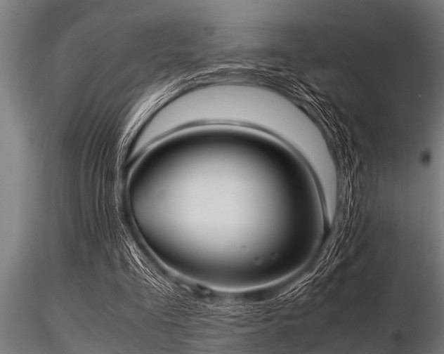 X0000116580293200912101546