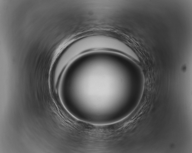 X0000116580294200912101546