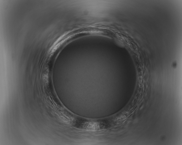 X0000116580295200912101546