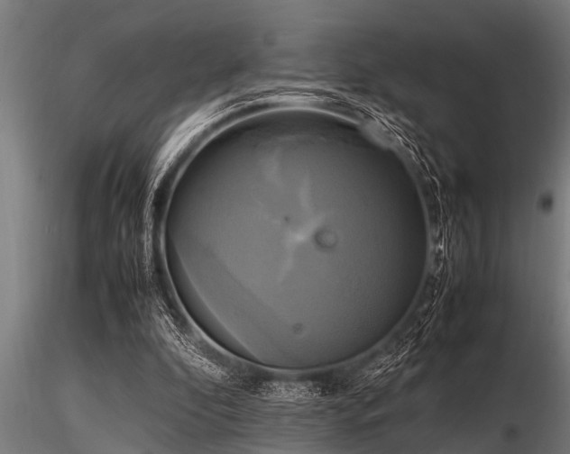 X0000116580296200912101546