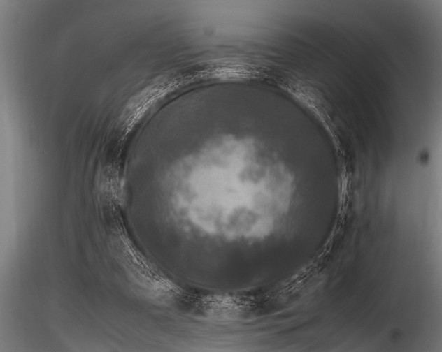 X0000116580297200912101546