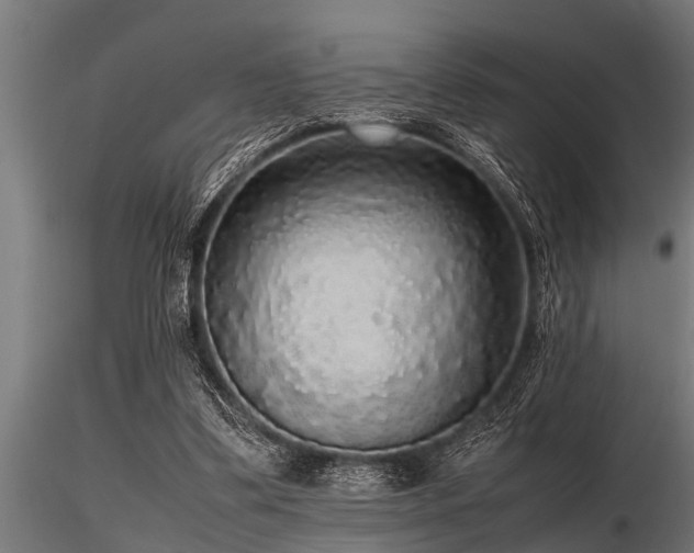 X0000116580299200912101546