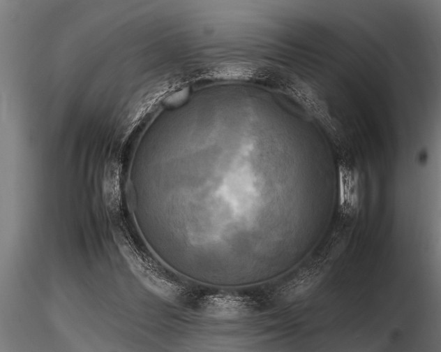 X0000116580300200912101546