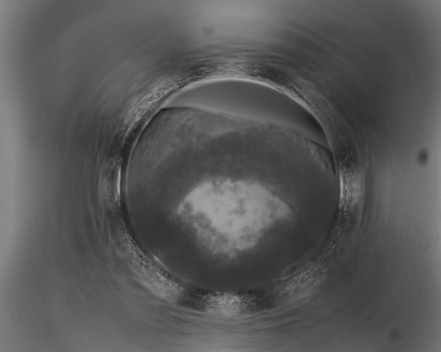 X0000116580301200912101546