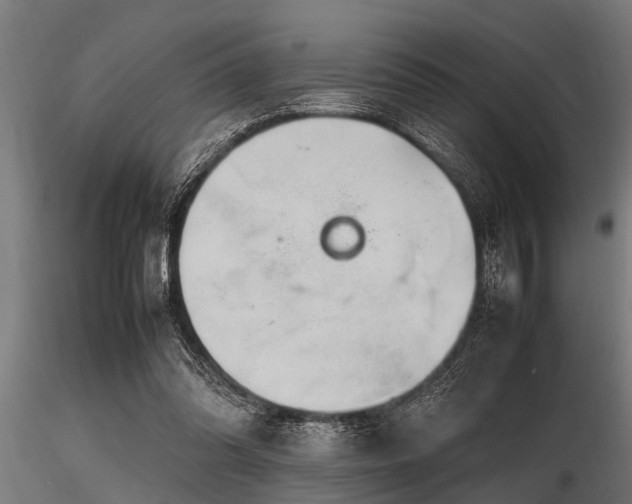 X0000116580302200912101546