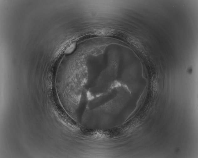 X0000116580303200912101546