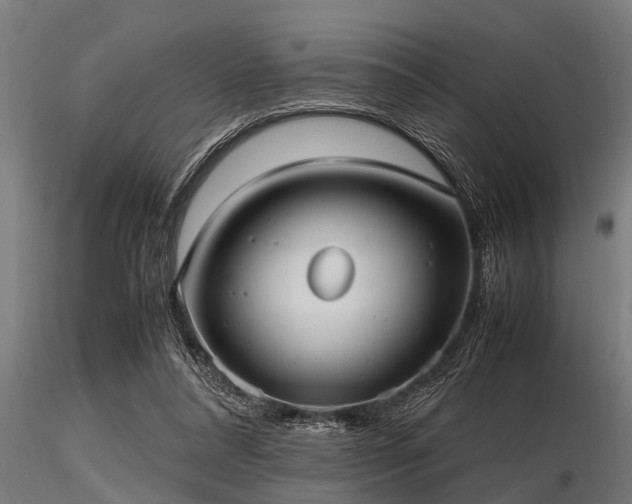 X0000116580304200912101546