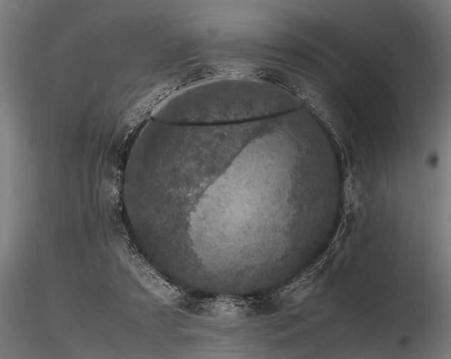 X0000116580305200912101546