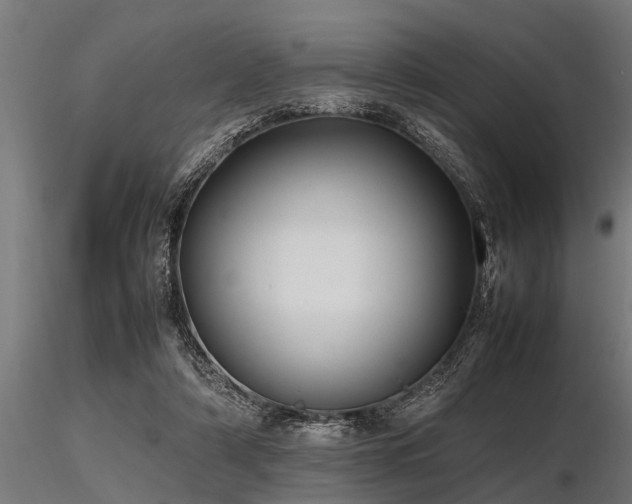 X0000116580306200912101546