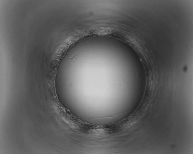 X0000116580307200912101546