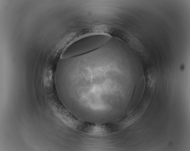 X0000116580308200912101546