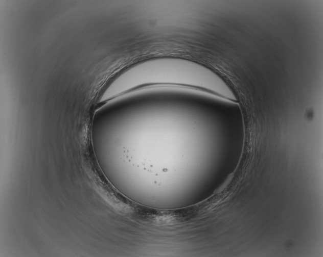 X0000116580309200912101546