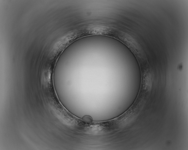 X0000116580310200912101546