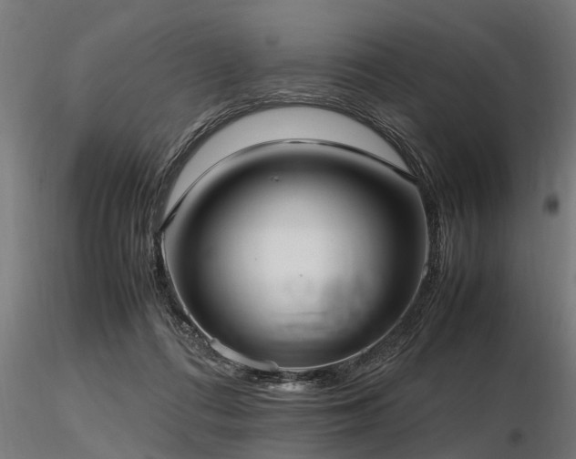 X0000116580312200912101546