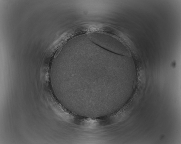 X0000116580313200912101546