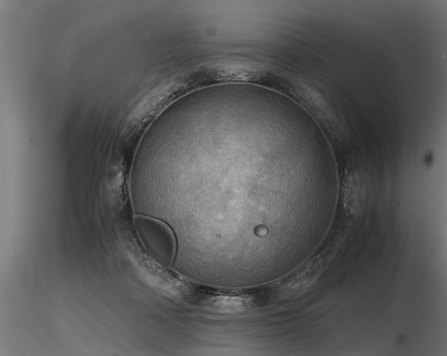 X0000116580314200912101546