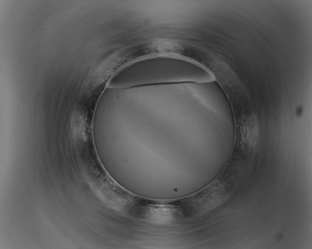 X0000116580316200912101546