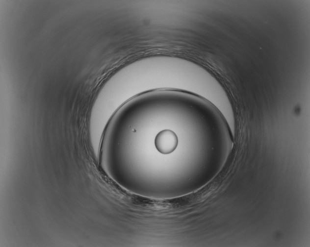 X0000116580317200912101546