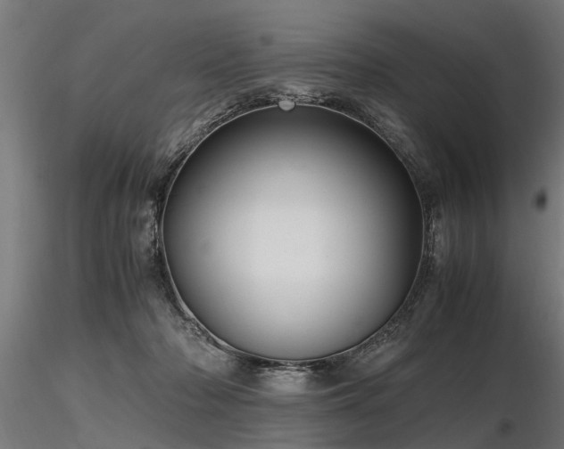 X0000116580318200912101546