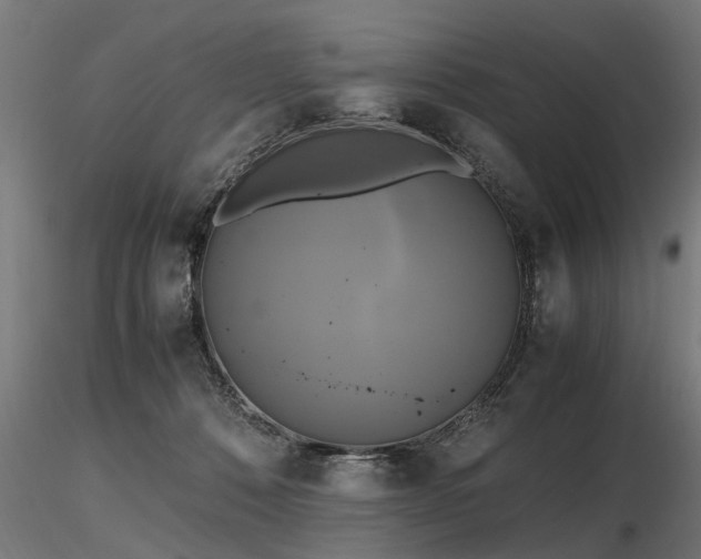 X0000116580320200912101546