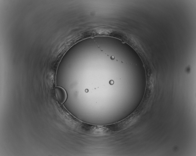 X0000116580321200912101546