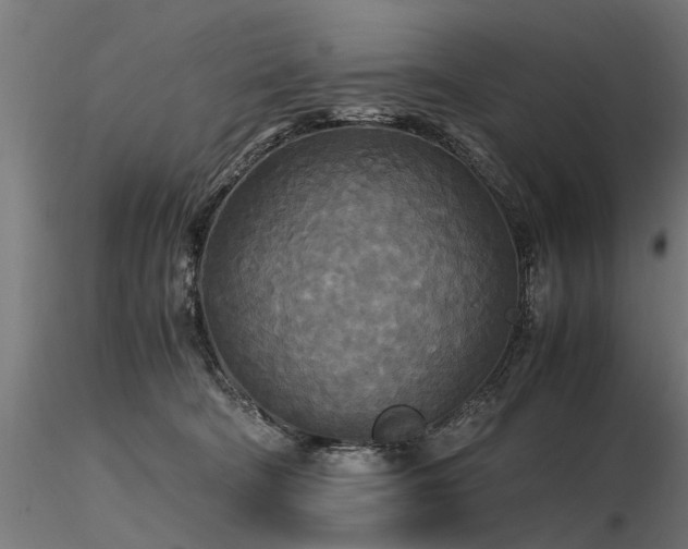 X0000116580322200912101546