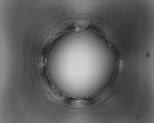 X0000116580323200912101546