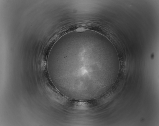 X0000116580324200912101546