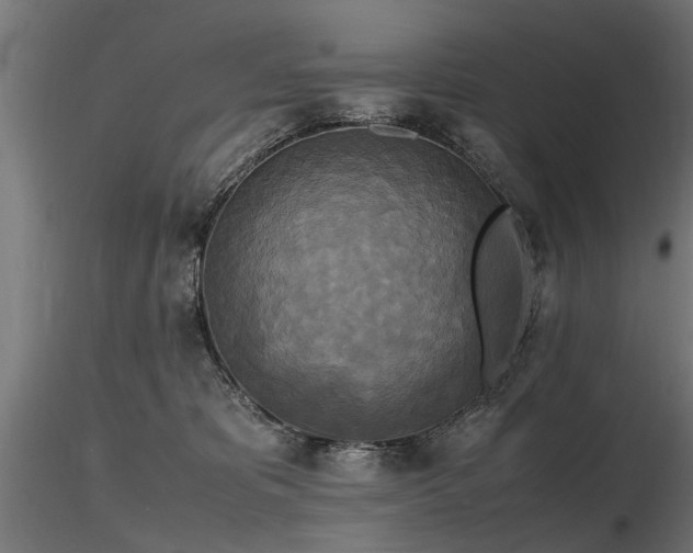 X0000116580325200912101546