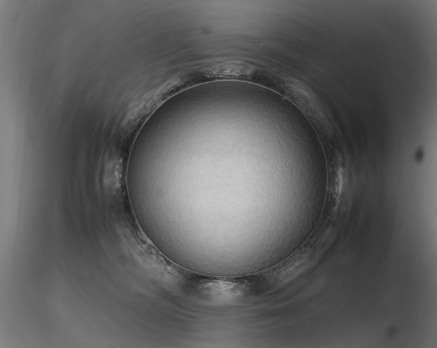 X0000116580326200912101546