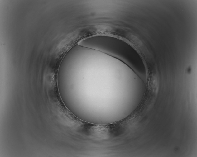 X0000116580327200912101546