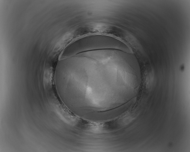 X0000116580328200912101546