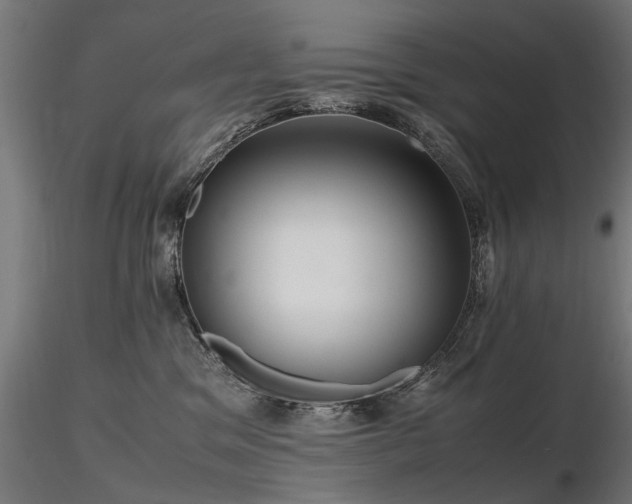 X0000116580329200912101546