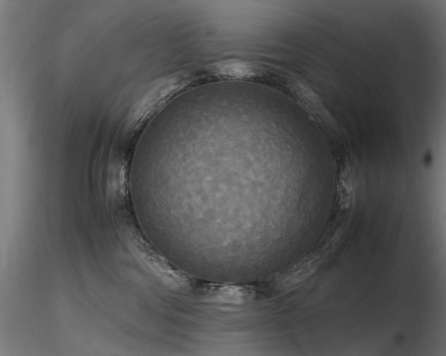 X0000116580330200912101546