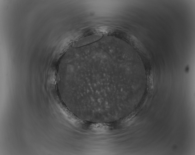 X0000116580331200912101546