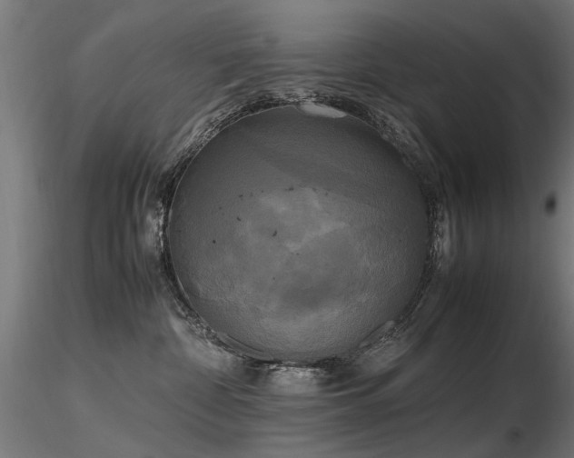 X0000116580332200912101546