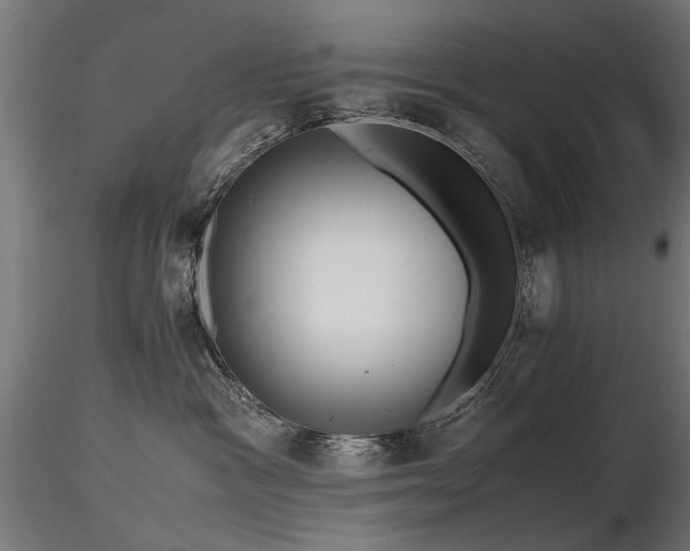 X0000116580333200912101546