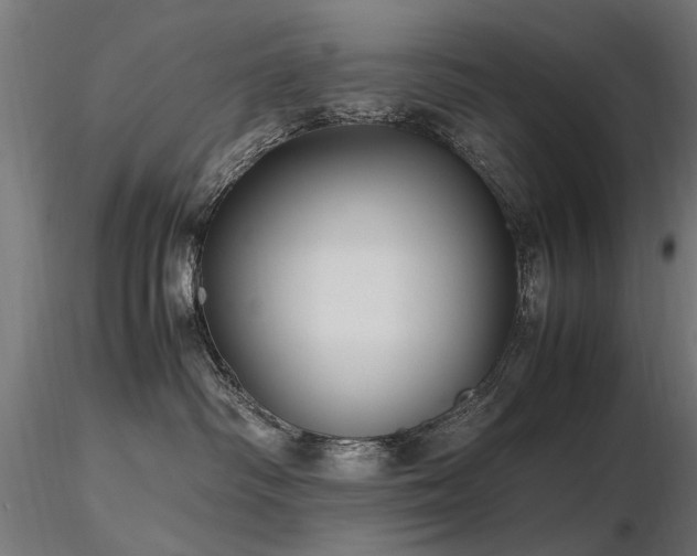 X0000116580334200912101546