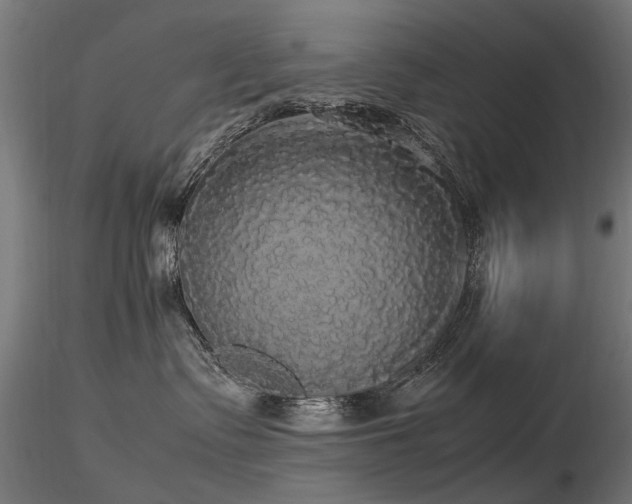 X0000116580335200912101546