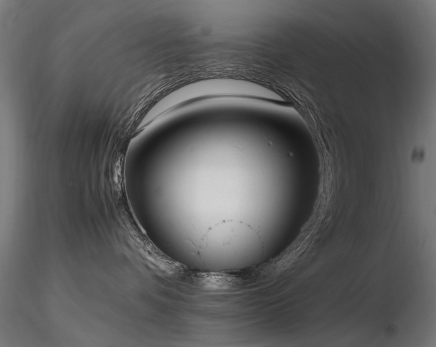 X0000116580336200912101546