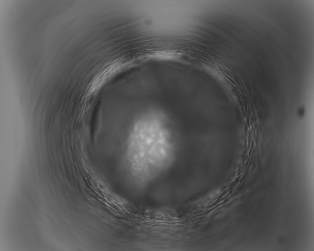 X0000116580337200912101545