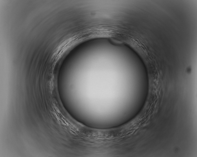 X0000116580338200912101545